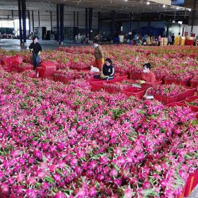 Phim giới thiệu doanh nghiệp tại Phan Thiết