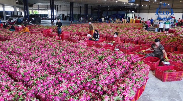 Phim giới thiệu doanh nghiệp tại Phan Thiết